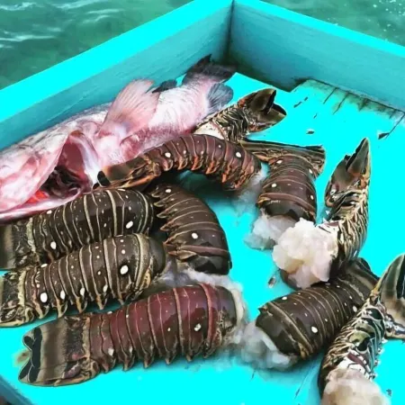 Casa Clearwater... Your Caribbean Dream Отели рядом с достопримечательностью «Бока-дель-Драго»