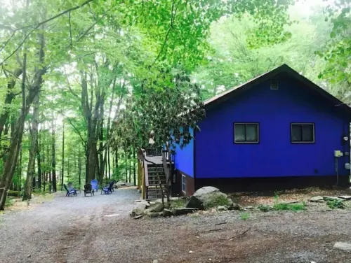 Lakeview Cabin Retreat•Dog-Friendly•Ski & Lake Access•Spacious Family Escape