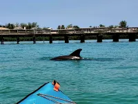 Heated Pool, WIFI, Grill, Near Boca Grande and Englewood Beach,Yard w/ Canal