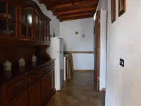 Apartment with garden 2