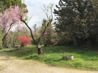 Grande Maison Idéale Pour Deux Couples Hotel a Velleron