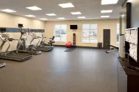 Hampton Inn & Suites Rosemont Chicago O'Hare - Gym