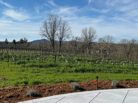 Quaint Vineyard Farmhouse in Russian River Valley Отели рядом с Аэропорт Чарльз М. Шульц