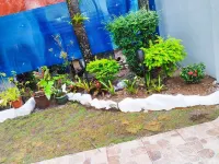 LR Bungalow Hotels in 