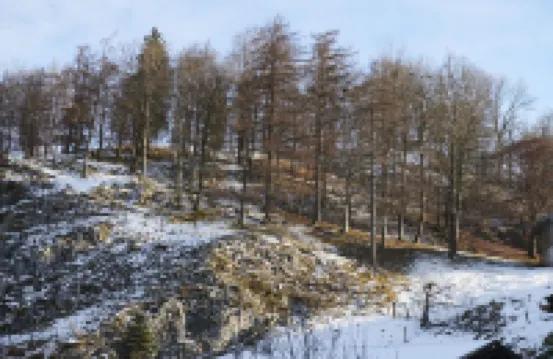 Adventure Bavaria's Burg Villa 上奧多夫酒店