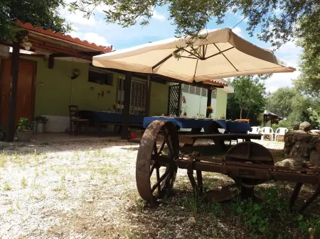 Lovely apartment in the middle of the green farm( 8) Отели в г. Доргали