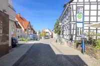 Green Forest- Teutoburg Forest