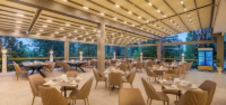 Delphin Diva Premiere