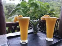 ศานติบารี อีโค รีสอร์ต - 2 ดาว