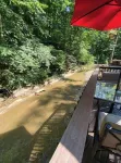Molly Branch Cottage- Beautiful Private Setting, 5 Star ABNB, Newly Listed VRBO