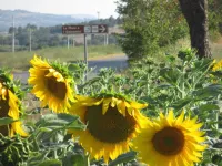 Farmhouse in Paciano with Pool & Scenic Views