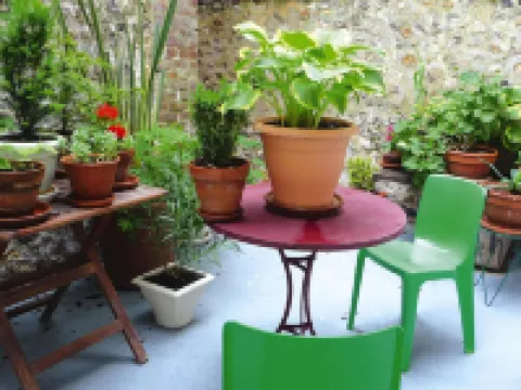 Apartment in Fécamp near Alabaster Coast Hotels in Fécamp