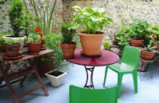 Apartment in Fécamp near Alabaster Coast