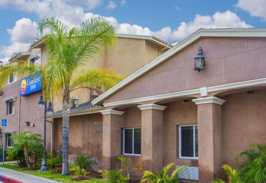 컴포트 인 코카투