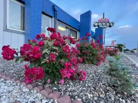 Capital O Budget Inn Ontario I-84