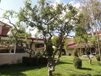 Vox Maris Grand Resort - Adults Only Hotels in 