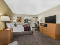 Best Western Winchester Hotel Hotels in Clark County