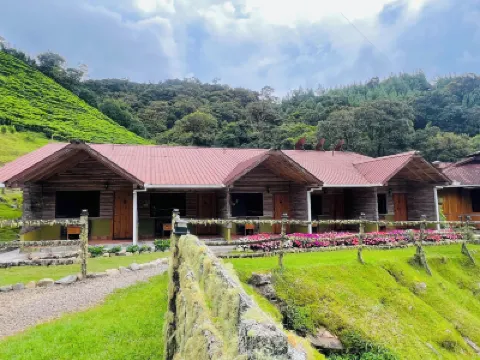 ツリー トレック ボケテ アドベンチャー パーク のホテル