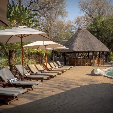 Karongwe- Shiduli Safari Lodge