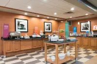 希爾頓歡朋套房飯店-曼斯費爾德南 - Wi-Fi