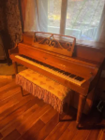 Secluded mystical cabin in Idyllwild-Pine Cove