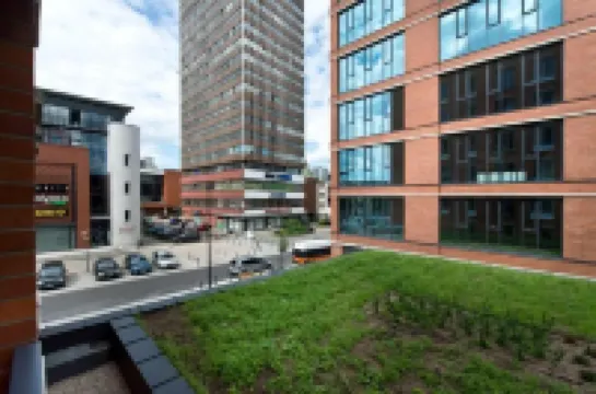 Yourapart Rajska City Centre