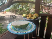 Treetop Beachfront Cabana Hotels in Placencia