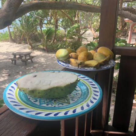 Treetop Beachfront Cabana