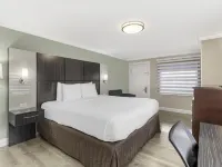 Best Western Bayfront Hotels in St. Augustine