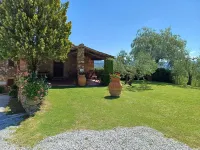 Farmhouse in Tuscany with Olive Grove Views