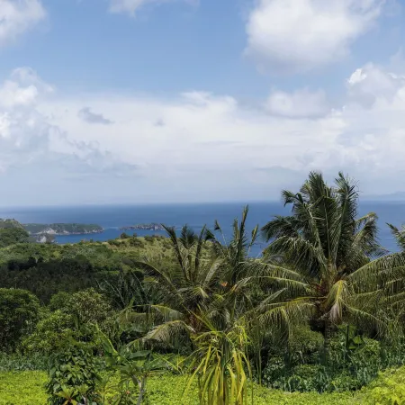 Janggur Baud Hill Nusa Penida Отели рядом с достопримечательностью «Холм Букит-Телетабис»