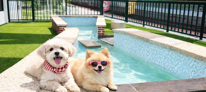 Damyang Dog Pension Hotels in Damyang