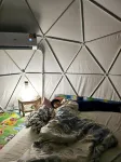 Dome & Treehouses for family 2 adults & 2 kids