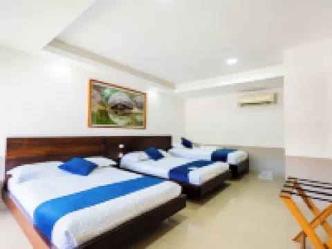 Hotel Ninfa Hotels in Puerto Ayora