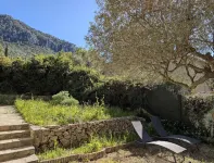 Charming T1 of 30 m² on the ground floor of villa