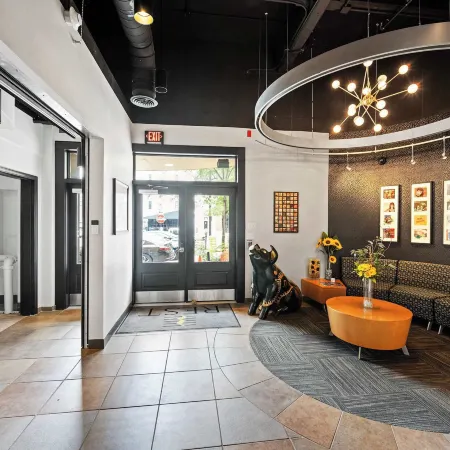 The 333 Suites For 24 Guests