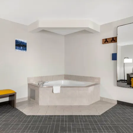 Comfort Inn & Suites Suwanee - Sugarloaf
