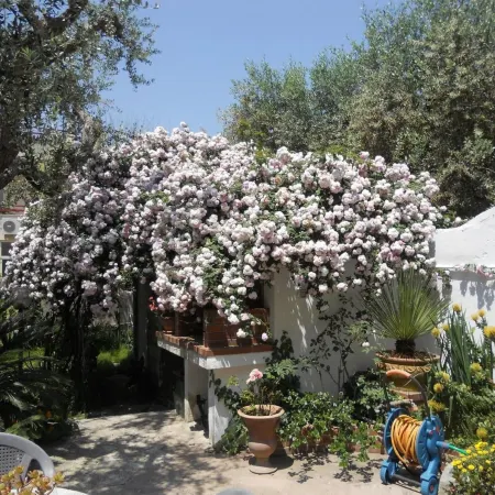 La Rosa Antica B&B Hotel a Castro
