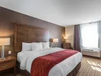 Comfort Inn - Gander Hotels in Gander