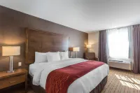 Comfort Inn - Gander Hotel a 