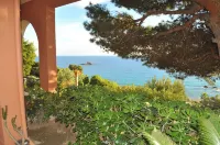Ενοικιαζόμενα διαμερίσματα ιδανικά για οικογένειες - Παραλία Πέλεκα - 4-Star