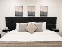 Hostal Boutique Zona Rosa - San Benito - Wifi