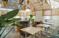 Perro Surfero Hotel Boutique - Todos Santos, BCS - 2 estrellas