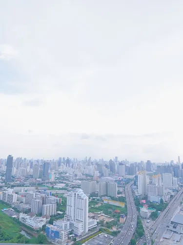 รูปภาพของLily(Branch 14)