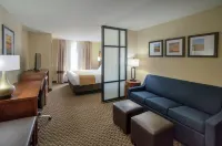 Comfort Suites Manhattan - 2-Star