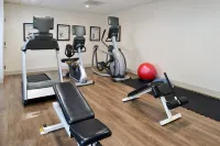 Holiday Inn Express LODI by IHG - Gym