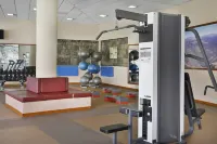 Sheraton Addis, a Luxury Collection Hotel, Addis Ababa - Gym