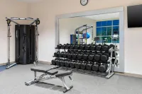 Hilton Garden Inn Cape Canaveral Near Cocoa Beach - Gym
