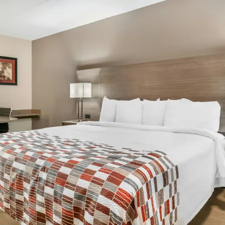 Red Roof Inn Detroit Metro Airport - Taylor Hotels in Taylor