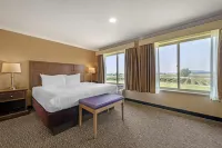 Best Western Plus Grapevine Inn - Pools